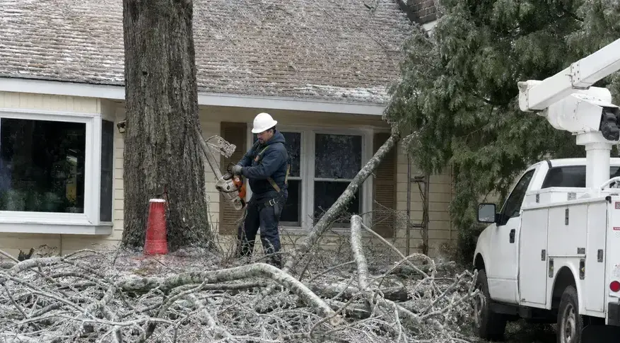 Worker clearing ice-covered fallen branches beside a home after a winter storm in Peoria, AZ